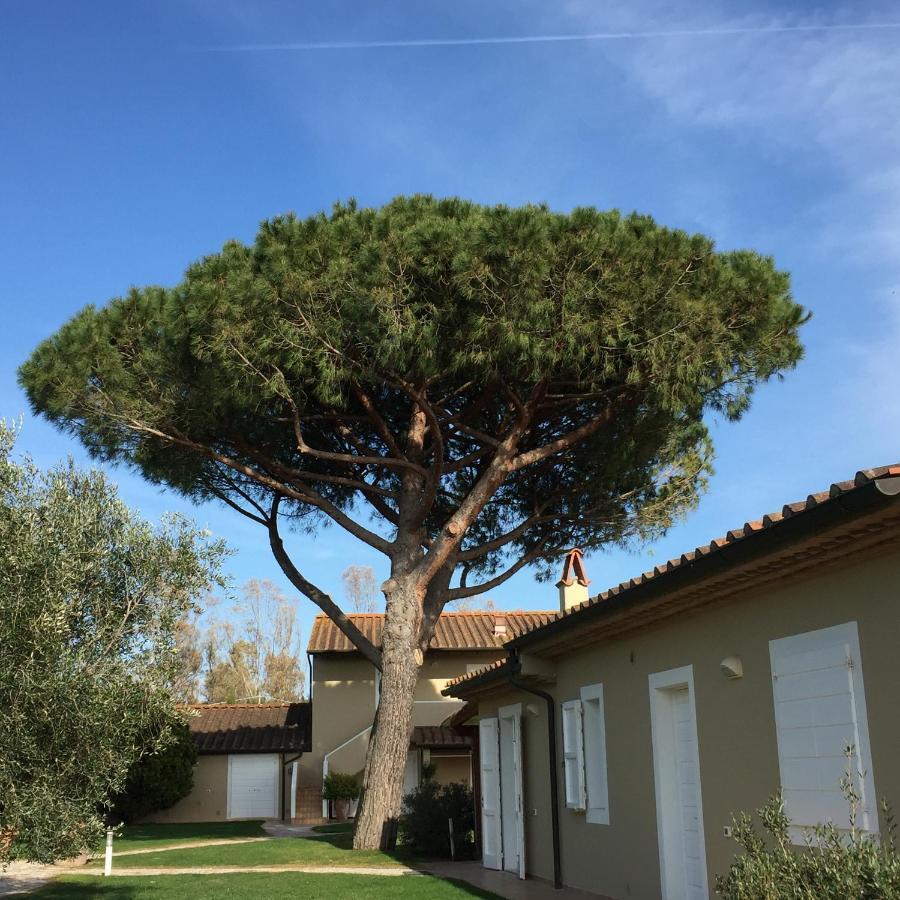 Aparthotel Relais Le Fornacelle à Castagneto Carducci Extérieur photo